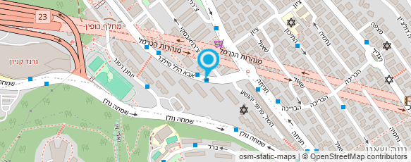 מפת הגעה אל סילבר מנעולנות