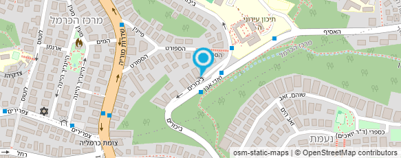 מפת הגעה אל בבוש - פתרונות ברזולוציה גבוהה