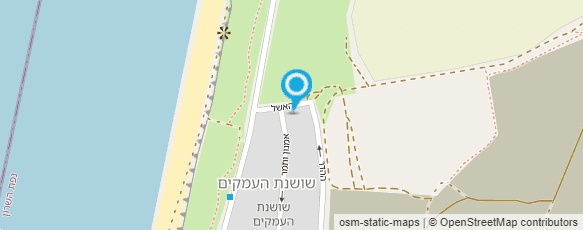 מפת הגעה אל שושנה פיצה בר