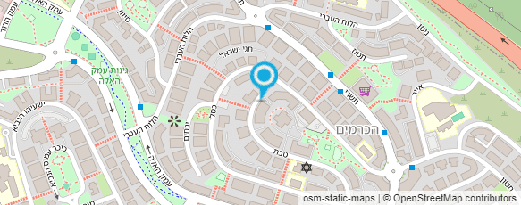 מפת הגעה אל רויטל שיינקופף -  הרצאות