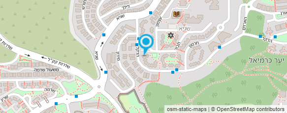 מפת הגעה אל RMZ מכון פוליגרף - "לגלות את האמת"