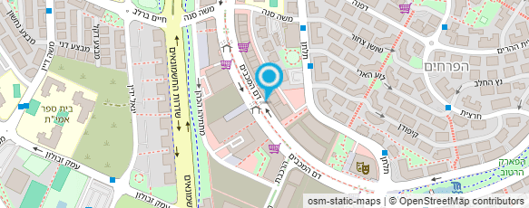 מפת הגעה אל בסטרד פיצה