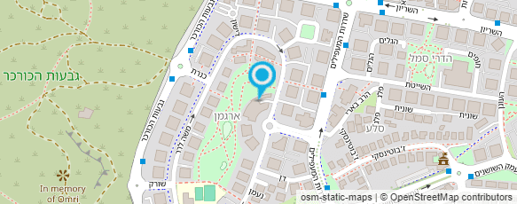 מפת הגעה אל בורגרים נס ציונה