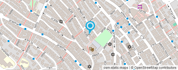 מפת הגעה אל בורגר בן גוריון