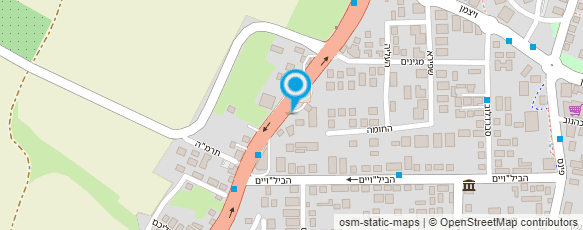 מפת הגעה אל עיוני- דגים וצ'יפס