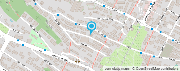 מפת הגעה אל סלנט שירותי מחשוב