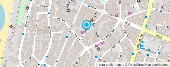 מפת הגעה אל בוריקה שף