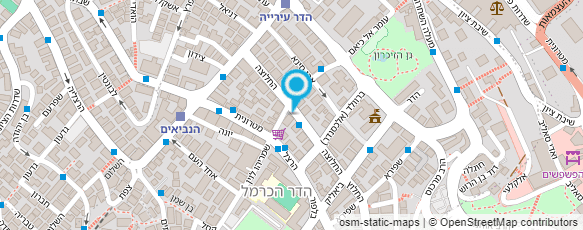 מפת הגעה אל מסעדת אלבאשא - חיפה