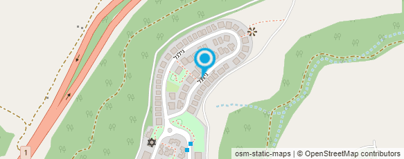 מפת הגעה אל ליאורה בלנקרוט- קלינאית תקשורת