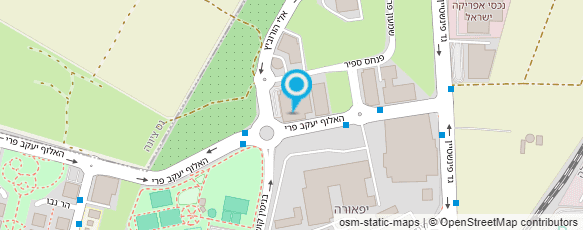 מפת הגעה אל המבורגר הפרופסור - רחובות