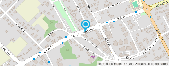 מפת הגעה אל מאנקי בורגר