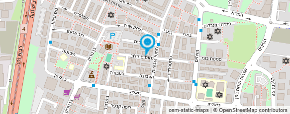 מפת הגעה אל פנסיון ריי הכי בבית שיש