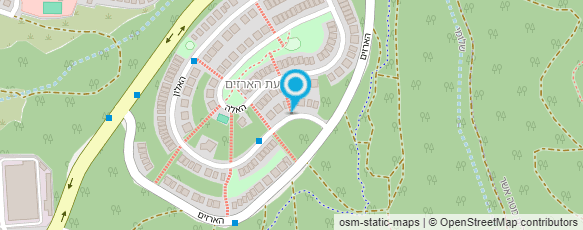 מפת הגעה אל DLTS