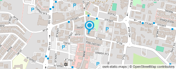 מפת הגעה אל אומנות בצילום "משה" (מימוזה)