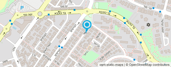 מפת הגעה אל ד"ר רייזין לאונרדו