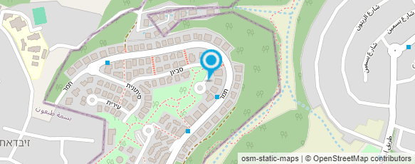 מפת הגעה אל גופר משה יעוץ טכנולוגי