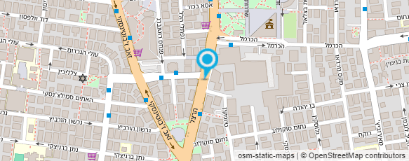 מפת הגעה אל מושס רינה