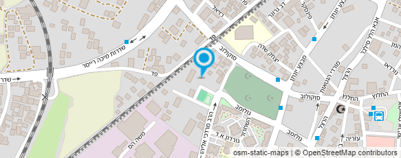 מפת הגעה אל ועד הנאמנים המוסלמי-לוד