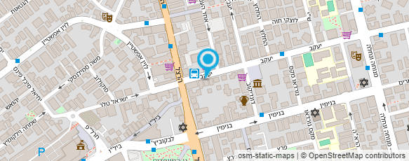 מפת הגעה אל סלון דוד