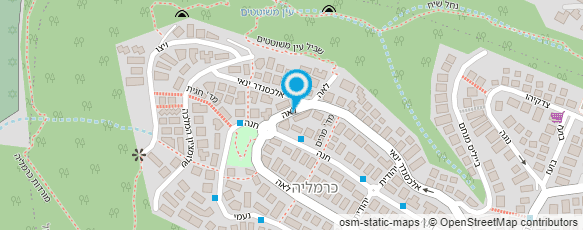 מפת הגעה אל אלי רן - אמן