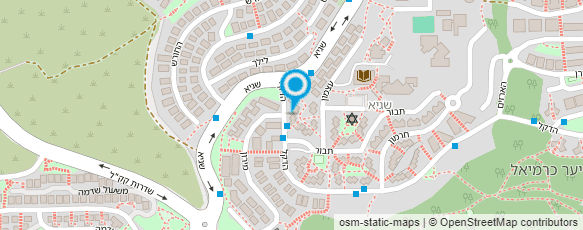 מפת הגעה אל "הדקל"