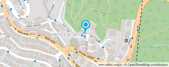 מפת הגעה אל לדלסקי שלמה